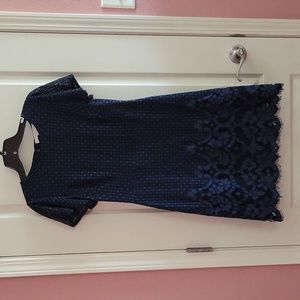 Loft Blue Lace dress